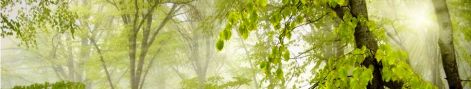 blog_header.jpg blog_header.jpg