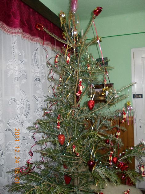 dscn00401.jpg